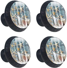Conch Starfish Shell Seashell Beach Pomelli per Porta Set di 4 Pomelli per Mobili Manopole per Cassetti Cucina Armadio Vetro