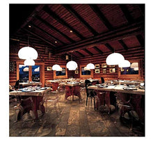 Kartell FL/Y Lampada a Sospensione 15 W, 52 x 33 x 241 cm