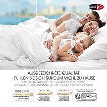 CelinaTex Lucina Lenzuolo Elasticizzato Cotone 200x200-200x220 cm Grigio Scuro
