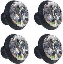 Grey Wolf Two Wolves Wild Pomelli per Porta Set di 4 Pomelli per Mobili Manopole per Cassetti Cucina Armadio Vetro