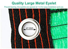 Telo Ombreggiante Panno Verde per Piante da Giardino, Tettuccio per Vela con Protezione UV 90% con Occhielli, Rete Parasole per Esterni, 2 M / 3 M / 4 M / 5 M / 6 M / 8 M (Size : 3m x 6m)