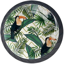 Tucano degli uccelli delle foglie verdi tropicali Pomelli per Porta Set di 4 Pomelli per Mobili Manopole per Cassetti Cucina Armadio Vetro