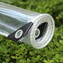 Telone Telo Ricoperto In Plastica Vegetale - Telo Trasparente In PVC Antipioggia Con Occhielli, Per Piante Grasse Da Giardino (Size : 2×4m)