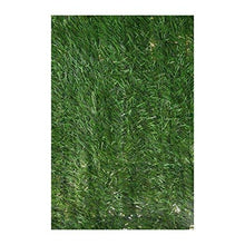 Catral 43080004 cespuglio hidenatur, Verde, 300 x 3 x 150 cm