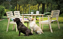 QLS JBM Family - Set di mobili da giardino con 2 sedie e panche, in legno