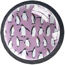 Pinguino Pomelli per Porta Set di 4 Pomelli per Mobili Manopole per Cassetti Cucina Armadio Vetro