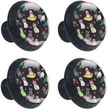 Gentili Pug Dog Princess Queen King Gentlemen Pomelli per Porta Set di 4 Pomelli per Mobili Manopole per Cassetti Cucina Armadio Vetro