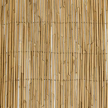 Sol Royal Arella in Canniccio Premium 100x600cm (HxB) SolVision S36 Recinzione di canne per Giardini e Balconi, Frangivento e Frangivista in Canna Spessa