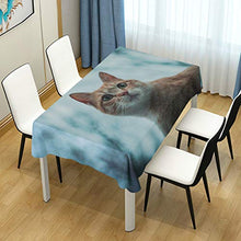 DXG1 - Tovaglia rettangolare da tavolo per esterni e interni, 152 x 274 cm