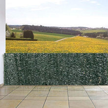 Mendler Reticolato per Privacy N77 Giardino Balcone Decorativo PVC Scuro 300x100cm