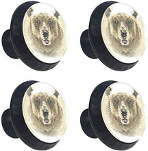 Orso geometrico Pomelli per Porta Set di 4 Pomelli per Mobili Manopole per Cassetti Cucina Armadio Vetro
