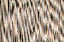 Estera de cañas de Carrizo Luca, Color Natural, 600cmx160cm - Alfombra de cañas/Elemento Original - monsterkatz