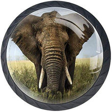 Imposta elefante Pomelli per Porta Set di 4 Pomelli per Mobili Manopole per Cassetti Cucina Armadio Vetro