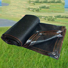 Rete ombreggiata Rete Per Ombra Rete Per Sole Crittografia Addensata Crittografata Balcone / Patio Fiore / Tetto Rete Per Tende Da Esterno Per Esterni Rete Per Isolamento Nero 10 Pin ( Size : 3*3m )