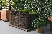 Catral Germania Città Giardino, Supporto per Supporti e Guscio Kit Planter, Metallo, 41 x 70 cm, 71080014