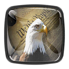 Giornale Vulture 4 PCS Pomelli per Porta, Pomolo per Mobile, Pomelli per Mobili con Viti, Maniglia per Armadietto, Pomelli per Porta, Pomelli per Cassetti per Porta, Armadio, Cassetto e Credenza