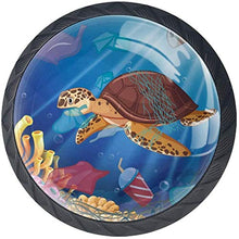Love Environment Tartaruga marina Pesce corallo Pomelli per Porta Set di 4 Pomelli per Mobili Manopole per Cassetti Cucina Armadio Vetro
