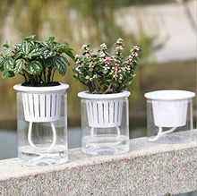 QJXSAN Assorbimento Flower Pot Automatico d'Acqua Trasparente Rotonda idroponica Flower Pot (Size : Small)