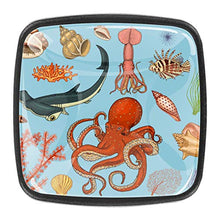 Fishes set or sea creature nautilus pompilius Pomelli per Porta Set di 4 Pomelli per Mobili Manopole per Cassetti Cucina Armadio Vetro