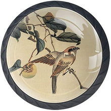 Vintage Japanese Bird Pomelli per Porta Set di 4 Pomelli per Mobili Manopole per Cassetti Cucina Armadio Vetro