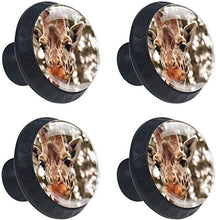 Zoo Giraffe Head Animale selvatico Pomelli per Porta Set di 4 Pomelli per Mobili Manopole per Cassetti Cucina Armadio Vetro