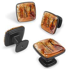 Autunno nel parco forestale Pomelli per Porta Set di 4 Pomelli per Mobili Manopole per Cassetti Cucina Armadio Vetro