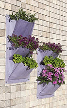 Catral 75080003-3 Tasche, Set 2 Pezzi, Lavanda, 30 x 51 cm