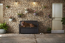 Keter Cuscino Box, Patio Bench, Marrone caffè, 138,6 x 63,5 x 88 cm, 227 Litri, 17202697 