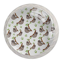Maniglie per cassetti Manopole per cassetti Manopole rotonde Confezione da 4 per armadietto, cassetti, cassettiere, cassettiere ecc. Bradipi Tropicali