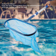 F Fityle Rete da Piscina con Asta, Rete da Piscina