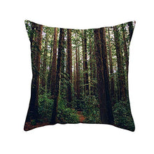 Federe Cuscini Divano 45X45,Fodere Per Cuscini Con Stampa Di Serie Di Paesaggi Naturali Della Foresta, Fodere Per Cuscini Lombari Per Divano Da Ufficio Per Auto, Set Di 4 Articoli Per La Decorazione D