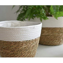 Duless - Cesto per piante in vimini intrecciato, fatto a mano, 15 x 12 x 10 cm