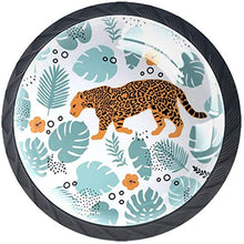 Tigre nella giungla di foglie tropicali Pomelli per Porta Set di 4 Pomelli per Mobili Manopole per Cassetti Cucina Armadio Vetro
