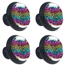 Zebra arcobaleno 4 PCS Pomelli per Porta, Pomolo per Mobile, Pomelli per Mobili con Viti, Maniglia per Armadietto, Pomelli per Porta, Pomelli per Cassetti per Porta, Armadio, Cassetto e Credenza