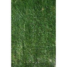 Catral 43080004 cespuglio hidenatur, Verde, 300 x 3 x 150 cm