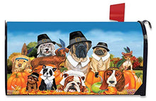 XJ-JX Give Thank Dogs Thanksgiving Magnetic Maibox Cover Standard