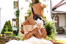 Windalf - Poltrona in legno di radice alto rustico, 125 cm