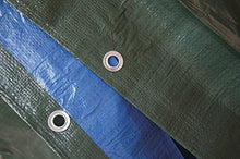 VERDELOOK Telo occhiellato Multiuso in polietilene, 8x5 m, Verde/Blu, coperture