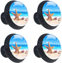 Stella di mare Shell Beach Pomelli per Porta Set di 4 Pomelli per Mobili Manopole per Cassetti Cucina Armadio Vetro