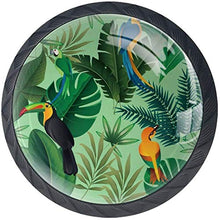 Uccello Tucano Foglie Tropicali Pomelli per Porta Set di 4 Pomelli per Mobili Manopole per Cassetti Cucina Armadio Vetro