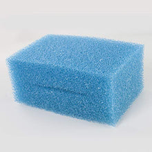 Generico-Oase Biotec Screenmatic 18 & 36 Ricambio Stagno Blu Grossa e Verde Fine Spugna Filtro(Confezione da 16)