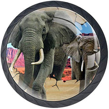Elefante africano 3D Pomelli per Porta Set di 4 Pomelli per Mobili Manopole per Cassetti Cucina Armadio Vetro