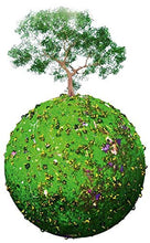 DETERGENTE LUCIDANTE ARREDI DA GIARDINO LEGNO • PLASTICA • FERRO - Spray 750 Gr - NATURIAMO
