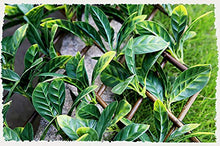 TTIK Siepe Sintetica Sempreverde Decorazioni Giardino Verde da Parete Verticale per Piante per Esterni per Balcone Giardino Recinto Matrimonio