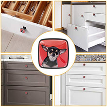 Bellissimo cane chihuahua Pomelli per Porta Set di 4 Pomelli per Mobili Manopole per Cassetti Cucina Armadio Vetro