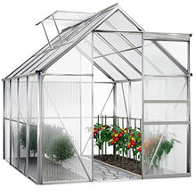 Deuba Serra da Giardino in Alluminio 7,63m³ 250x190cm Piante pomodori Cassetta Esterno orto