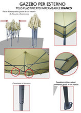Savino Fiorenzo Gazebo Pieghevole telescopico 3x6 m. Telo Bianco