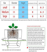 QJXSAN Assorbimento Flower Pot Automatico d'Acqua Trasparente Rotonda idroponica Flower Pot (Size : Small)