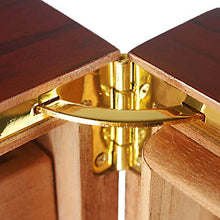 DTPP Umidificatore sigari/Humidor Armadietto Contenitore per sigari Marrone