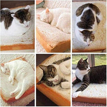 XKMY Moderno Nuovo E Moda Classico Creativo Pet Mat Cat Cane Letto Cuscino Cuscino Cuscino Pane Toast Materasso Cuscino